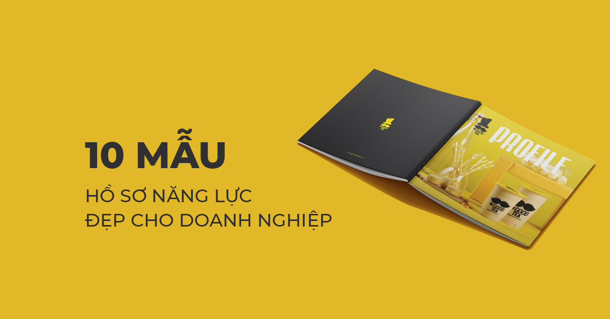 Mẫu hồ sơ năng lực đẹp